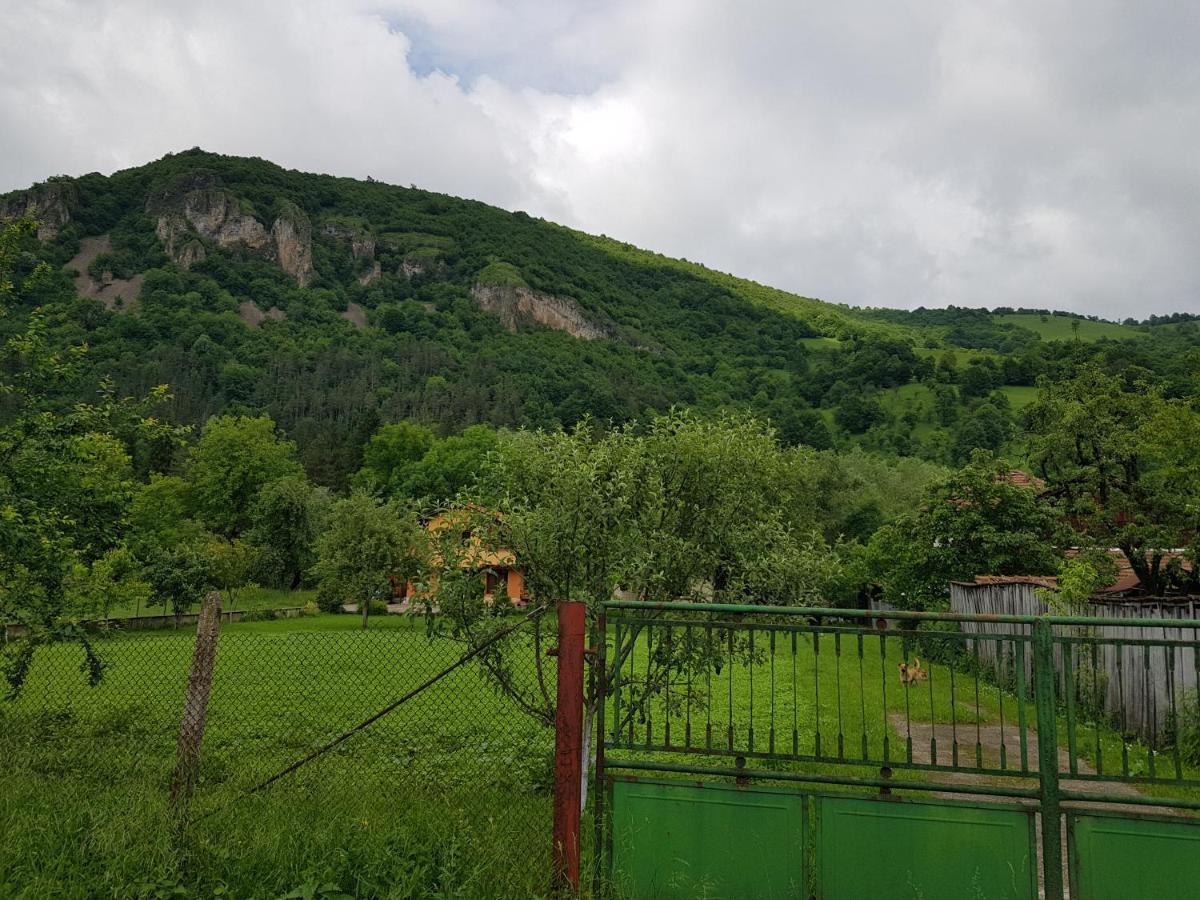 Мечтаната Селска Къща На Реката Със Семейство И Приятели! Ribaritsa Exteriör bild